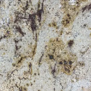 Giallo Orlando - Bullnose Edge