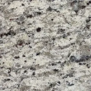 New White Rose - Flat Edge only