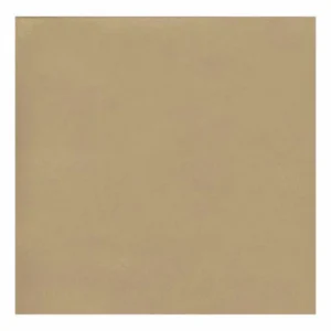 50-Porcelagres Bone