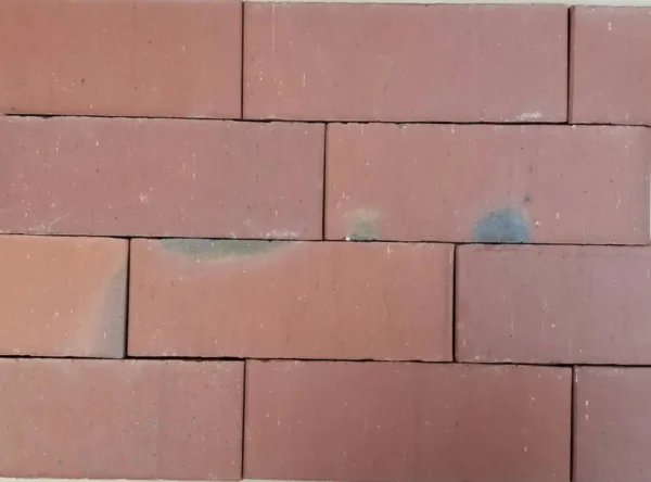 50-Timeless Brick Jacksonville Red