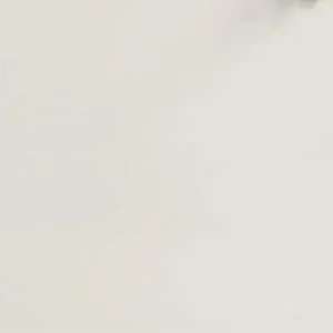 Pure White QS100