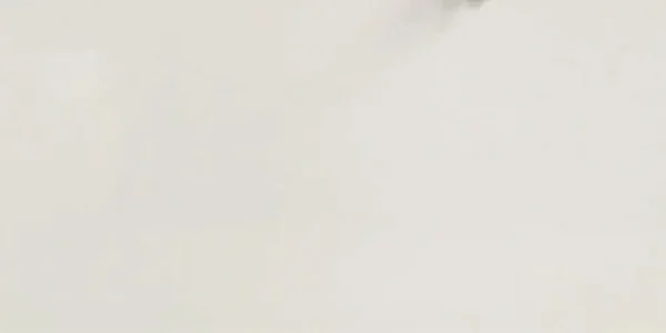 Pure White QS100